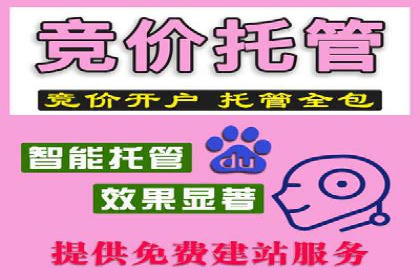 sem广告投放优化：竞价运营的五大经典案例